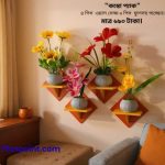 স্কয়ার শেফ ৮ পিসের কম্বো প্যাক , ৪ পিস ওয়াল স্ট্যান্ড এবং ৪ পিস ফুলের টপসহ ফুল পাচ্ছেন