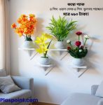 স্কয়ার শেফ ৮ পিসের কম্বো প্যাক , ৪ পিস ওয়াল স্ট্যান্ড এবং ৪ পিস ফুলের টপসহ ফুল পাচ্ছেন